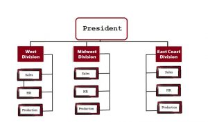 assignment of duties in organizing