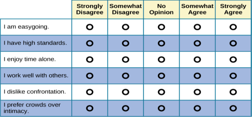 A Likert-type scale survey is shown. The surveyed items include “I am easygoing; I have high standards; I enjoy time alone; I work well with others; I dislike confrontation; and I prefer crowds over intimacy.” To the right of each of these items are five empty circles. The circles are labeled “strongly disagree; somewhat disagree; no opinion; somewhat agree; and strongly agree.”