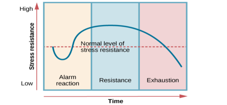 A graph shows the three stages of Selye’s general adaption syndrome: alarm reaction, resistance, and exhaustion. The x-axis represents time while the y-axis represents stress levels. The x-axis is labeled “Time” and the y-axis is labeled “Stress resistance.” The graph shows that an increase in time and stress ultimately leads to exhaustion.