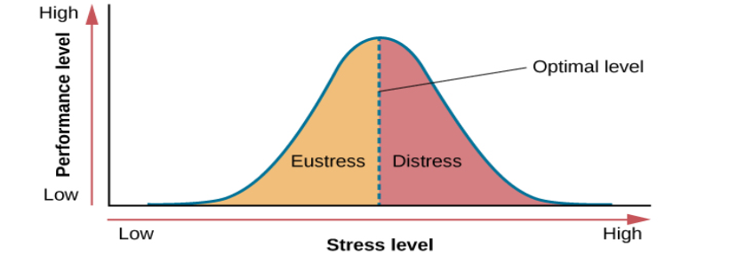 A graph features a bell curve that has a line going through the middle labeled “Optimal level.” The curve is labeled “eustress” on the left side and “distress” on the right side. The x-axis is labeled “Stress level” and moves from low to high, and the y-axis is labeled “Performance level” and moves from low to high.” The graph shows that stress levels increase with performance levels and that once stress levels reach optimal level, they move from eustress to distress.