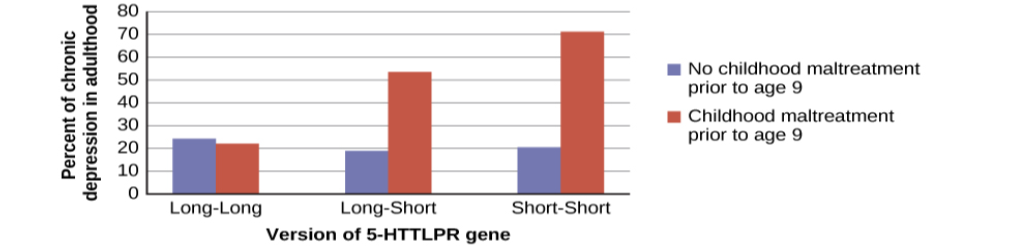 A bar graph has an x-axis labeled “version of 5-HTTLPR gene” and a y-axis labeled “percent of chronic depression in adulthood.” Data compares the type of gene combination and whether childhood maltreatment occurred prior to age 9. People with no childhood maltreatment prior to age 9 have a percentage of chronic depression of approximately 23% with the long-long gene, 19% with the long-short gene, and 20% with the short-short gene. People with childhood maltreatment prior to age 9 have a percentage of chronic depression of approximately 22% with the long-long gene, 53% with the long-short gene, and 71% with the short-short gene.