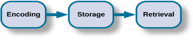 A diagram shows three boxes, placed in a row from left to right, respectively titled “Encoding,” “Storage,” and “Retrieval.” One right-facing arrow connects “Encoding” to “Storage” and another connects “Storage” to “Retrieval.”