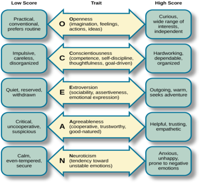 A diagram includes five vertically stacked arrows, which point to the left and right. A dimension's first letter, name, and description are included inside of each arrow. A box to the left of each arrow includes traits associated with a low score for that arrow's dimension. A box to the right of each arrow includes traits associated with a high score for that arrow's dimension. The top arrow includes the trait “openness,” which is described with the words, “imagination,” “feelings,” “actions,” and “ideas.” The box to the left of that arrow includes the words, “practical,” “conventional,” and “prefers routine,” while the box to the right of that arrow includes the words, “curious,” “wide range of interests,” and “independent.” The next arrow includes the trait “conscientiousness,” which is described with the words, “competence,” “self-discipline,” “thoughtfulness,” and “goal-driven.” The box to the left of that arrow includes the words, “impulsive,” “careless,” and “disorganized,” while the box to the right of that arrow includes the words, “hardworking,” “dependable,” and “organized.” The next arrow includes the trait “extroversion,” which is described with the words, “sociability,” “assertiveness,” and “emotional expression.” The box to the left of that arrow includes the words, “quiet,” “reserved,” and “withdrawn,” while the box to the right of that arrow includes the words, “outgoing,” “warm,” and “seeks adventure.” The next arrow includes the trait “agreeableness,” which is described with the words, “cooperative,” “trustworthy,” and “good-natured.” The box to the left of that arrow includes the words, “critical,” “uncooperative,” and “suspicious,” while the box to the right of that arrow includes the words, “helpful,” “trusting,” and “empathetic.” The next arrow includes the trait “neuroticism,” which is described as “tendency toward unstable emotions.” The box to the left of that arrow includes the words, “calm,” “even-tempered,” and “secure,” while the box to the right of that arrow includes the words, “anxious,” “unhappy,” and “prone to negative emotions.”