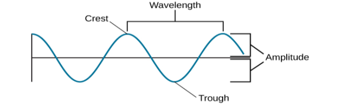 A diagram illustrates the basic parts of a wave. Moving from left to right, the wavelength line begins above a straight horizontal line and falls and rises equally above and below that line. One of the areas where the wavelength line reaches its highest point is labeled “Peak.” A horizontal bracket, labeled “Wavelength,” extends from this area to the next peak. One of the areas where the wavelength reaches its lowest point is labeled “Trough.” A vertical bracket, labeled “Amplitude,” extends from a “Peak” to a “Trough.”